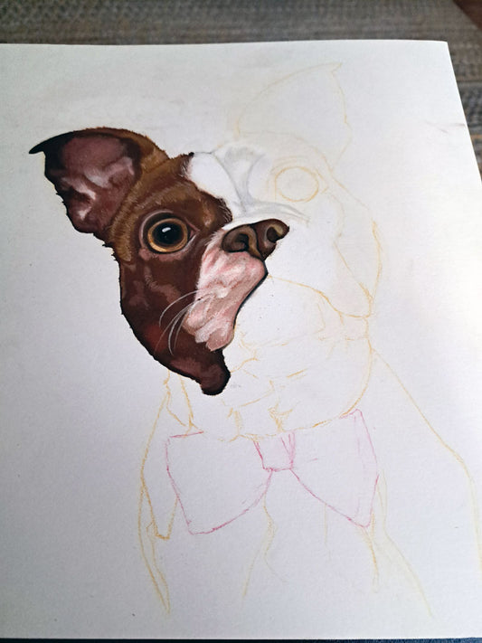 First stage of a pastel pet portrait: the left side of a dog's face rendered in soft colour, with the right side still in pencil.