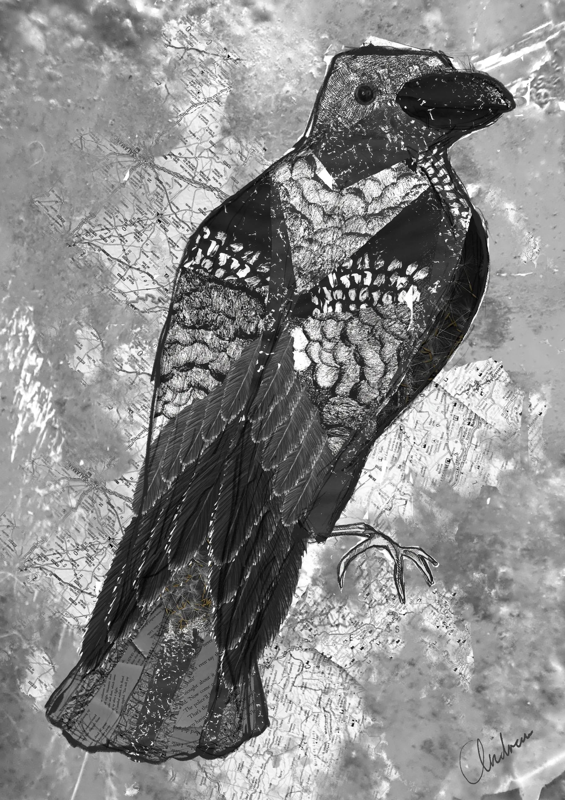 The Journey to Transformation - Crow Art Print - Symbolic Mixed