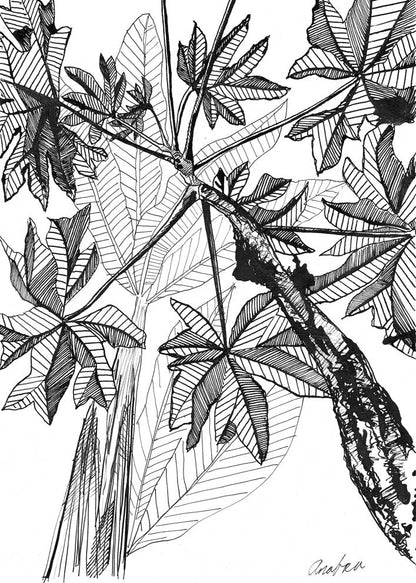 Original pen and ink banana grove illustration looking up through tropical canopy leaves in detailed black line work, by Andrea Nicole.