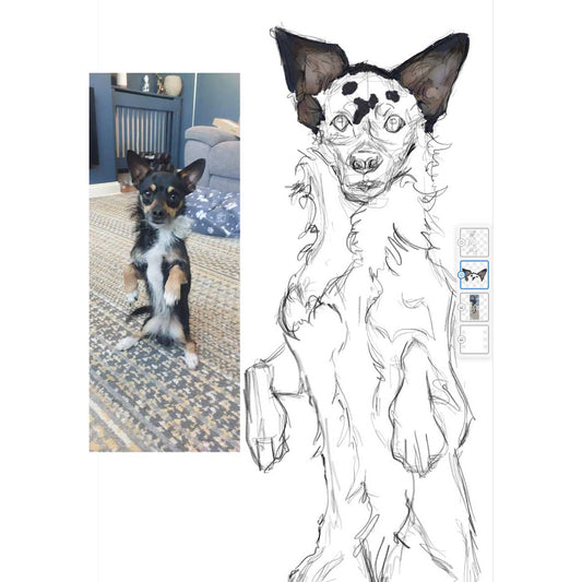 Side-by-side of a customer's pet photo and an early-stage digital sketch, showing rough line work and the first colour applied to the ears.
