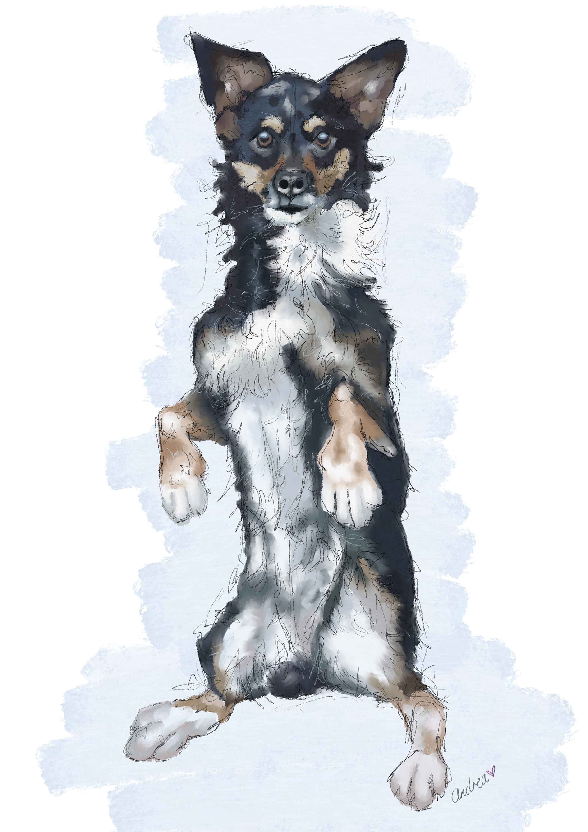 Custom Pet Portrait From Your Photo | Hand-Drawn UK Artist