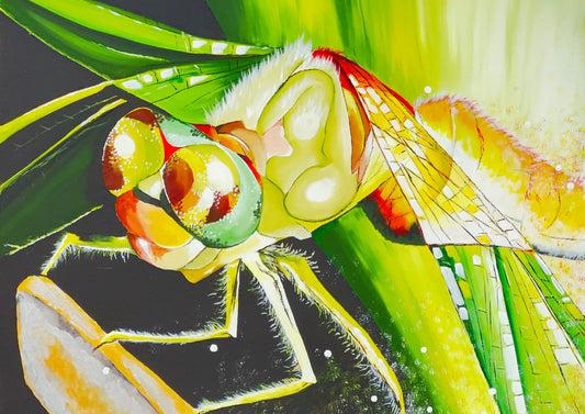Original acrylic dragonfly painting, a close-up nature study of a dragonfly resting on a sunlit green leaf, by Andrea Nicole.