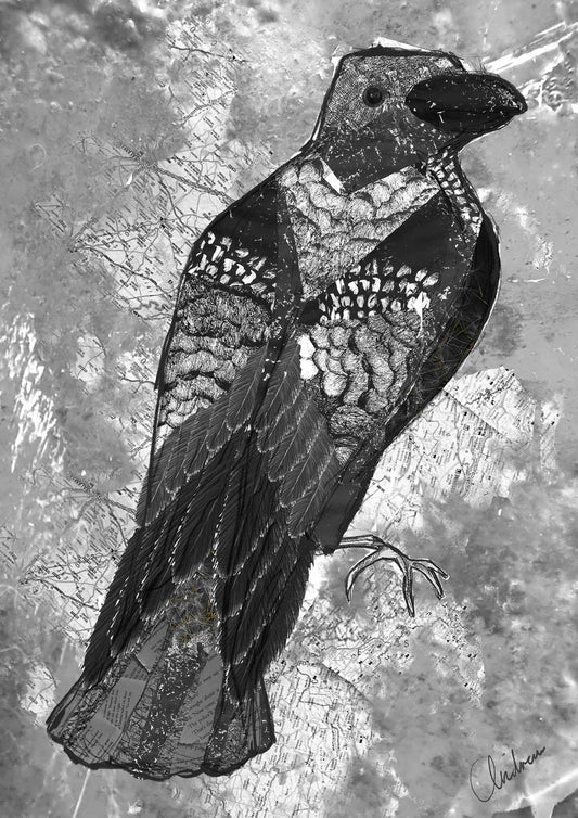 Symbolic crow art print in monochrome, layered with collaged map fragments and printed pages, mixed media giclée illustration by Andrea Nicole.