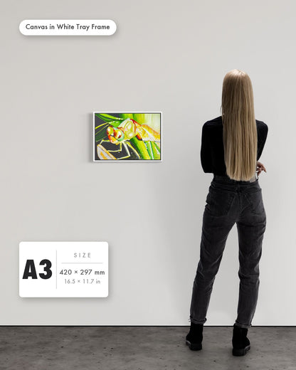 Andrea Nicole 'Just For a Moment' fine art canvas in a white tray float frame, A3 — shown to scale on a gallery wall with a size guide card. | an:family=canvas;role=sizeref;size=A3;finish=white
